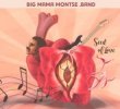 Big Mama Montse Band