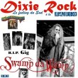 Dixie Rock n°503