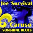 Joe Survival Caruso