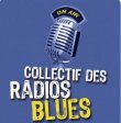 Tellin'You – 25 février 2016 – Power Blues du CRB - www.rqc.be