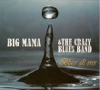 BIG MAMA & THE CRAZY BLUES BAND