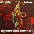 Surfinbird Radio Show #511 Tribute to Dr John